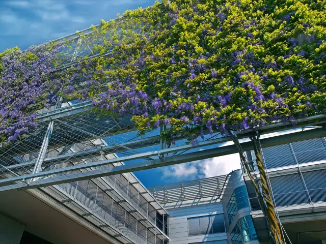 Architecture